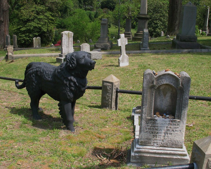 Le chien noir et la tombe de Bernadine Rees