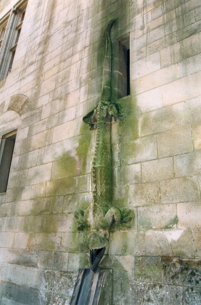 Salamandre du château de Pierrefonds, dans l'Oise